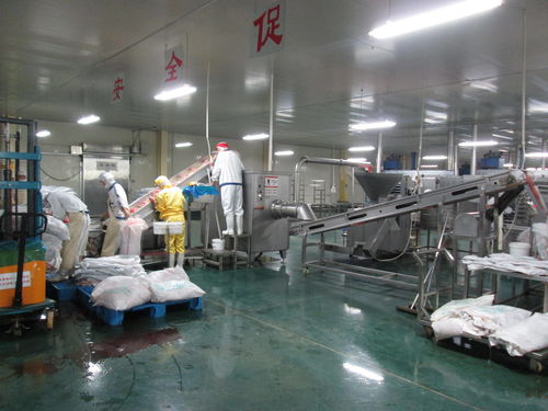 四級聯動 共鋪小康致富路